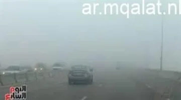 تحذير للمواطنين.. خريطة انتشار الشبورة والرياح المثيرة للأتربة بمحافظات مصر اليوم